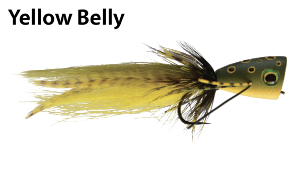 Psychoactive Frog Popper Yellow Belly